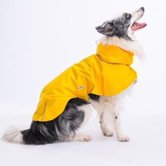 Pawstar Colombia Sarı Su Geçirmez Orta-Büyük Irk Köpek Pratik Yağmurluk XS Beden