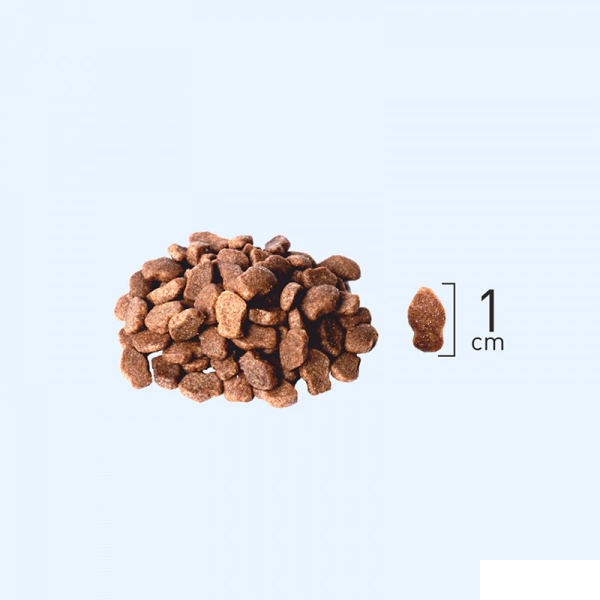 Natura Somonlu ve Yaban Mersinli Düşük Tahıllı Yetişkin Kedi Maması 2,25kg