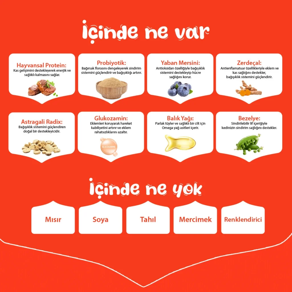 Wanpy Sığır Etli Tahılsız Yetişkin Köpek Maması 1,5kg