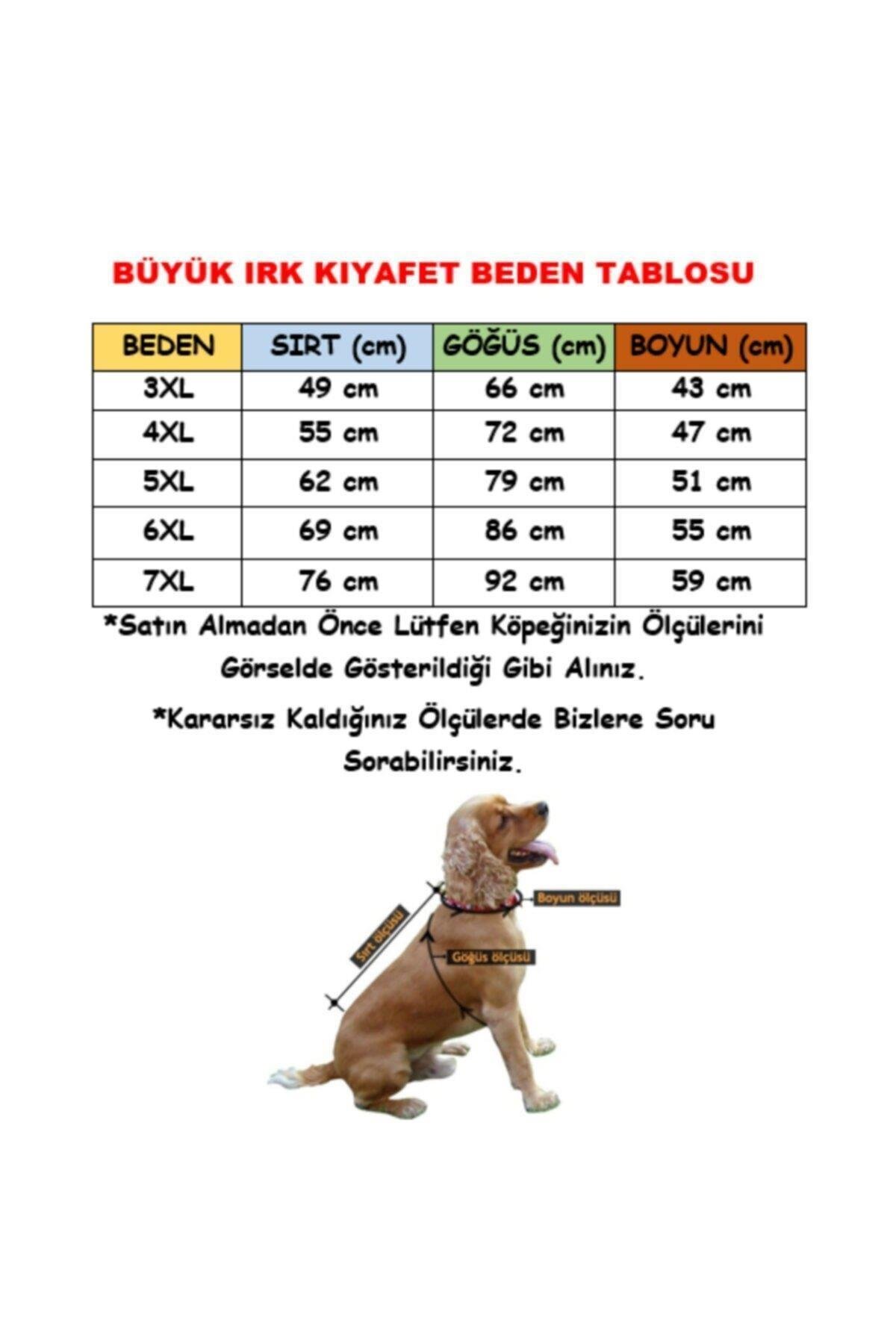 Pawstar Mint Bone Hunter Orta-Büyük Irk Köpek Sweatshirt 5XL