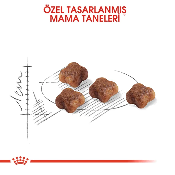 Royal Canin Mother&BabyCat Yavru Kedi Maması 2kg
