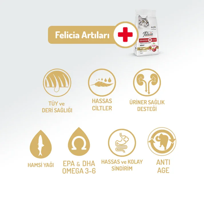 Felicia Kolajen Destekli Hipoalerjenik Kuzulu Yetişkin Kedi Maması 2KG
