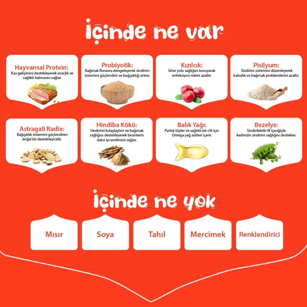 Wanpy Ton Balıklı Tahılsız Yetişkin Kedi Maması 1,5kg