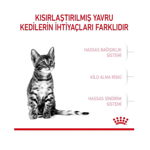Royal Canin Kitten Sterilised Kısırlaştırılmış Yavru Kedi Maması 2kg