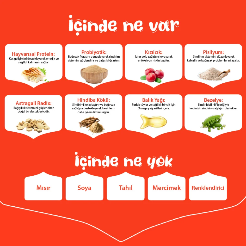 Wanpy Tavuklu Tahılsız Yetişkin Kedi Maması 1,5kg