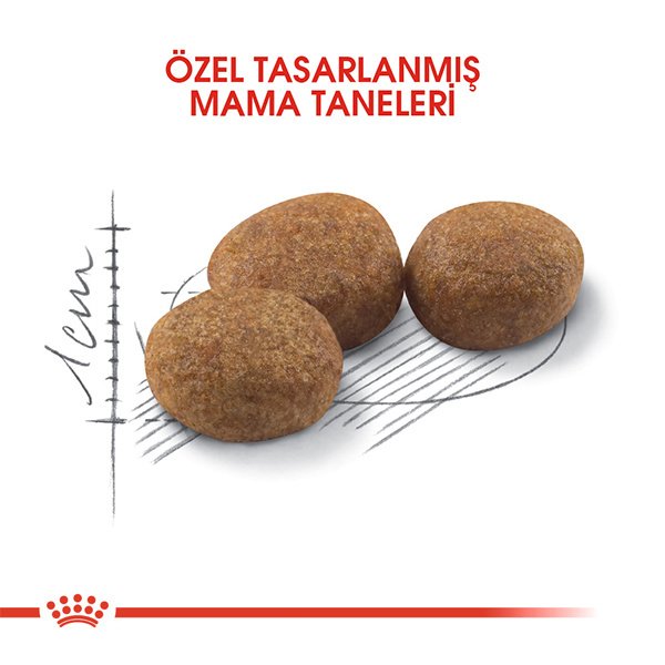 Royal Canin Sterilised 37 Kısırlaştırılmış Kedi Maması 4kg