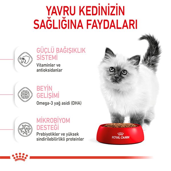 Royal Canin Kitten 36 Yavru Kedi Maması 2kg