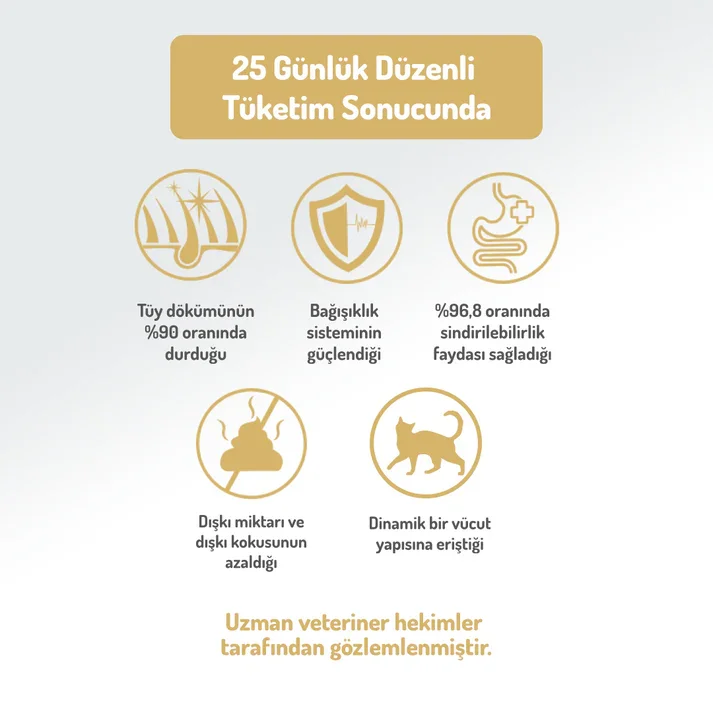 Felicia Kolajen Destekli Hipoalerjenik Kuzulu Yavru ve Anne Kedi Maması 2KG