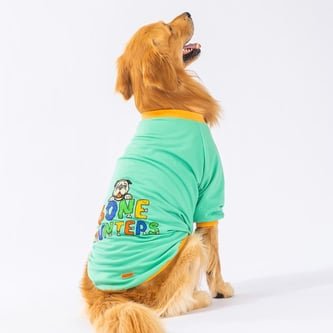Pawstar Mint Bone Hunter Orta-Büyük Irk Köpek Sweatshirt 7XL
