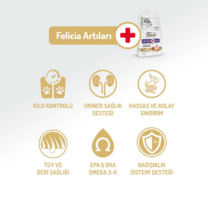 Felicia Kolajen Destekli Hipoalerjenik Somonlu Kısırlaştırılmış Yetişkin Kedi Maması 2KG